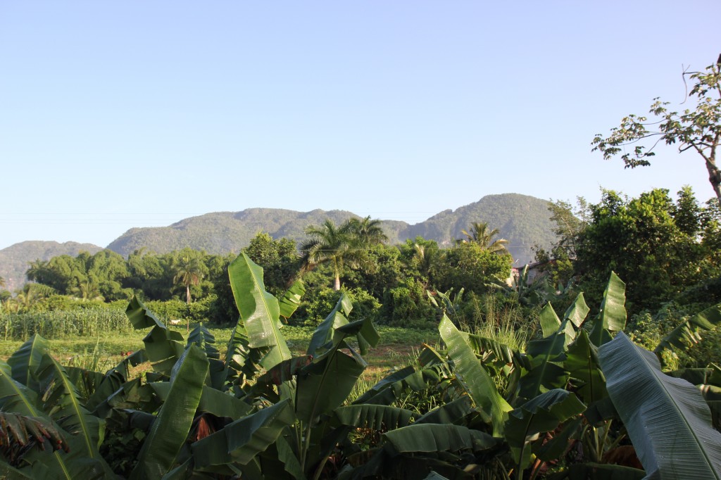 Vinales