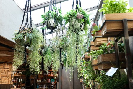 Osteria Cellini Maasmechelen