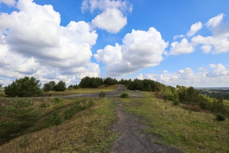Connectera Maasmechelen