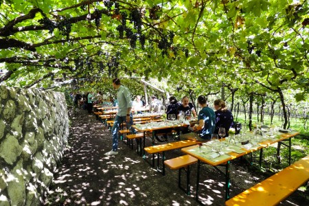 where to eat in Alto Adige