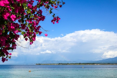 Karma Reef Gili Meno