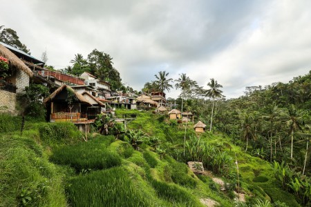 Ubud